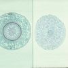 Typical Monocot And Dicot Roots, C.S., 12 M Microscope Slide