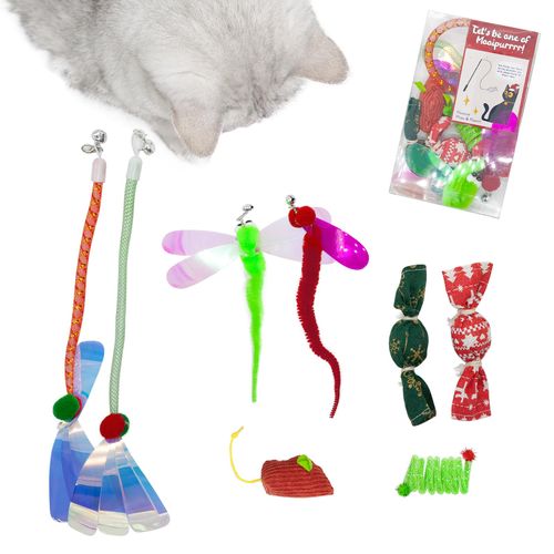 Mooipur Cat Toy Box for Cats, Including 2 Cat Wand Refills, 2 Catnip Kicker Toys Red/Green, 1 Catnip Mouse, 1 Spring Toy, 2 Worm Teaser Toys for Indoor Cats