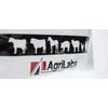 Vitamins & Electrolytes Plus 4oz by Agrilabs