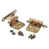 Liberty Antique Brass Self-Closing Overlay Hinge (1-Pair)