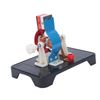 Physical Experiment Motor Electromotor Model, Motor Model Model Educational Mini Motor Generator Model Kit for Teaching (small electric motor)