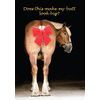 Does This Make My Butt Look Big? Belgian Horse Christmas Card