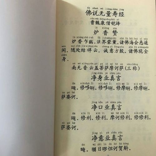 佛说无量寿经简体注音版弘化常诵佛经读诵本经书结缘书佛说无量寿经拼音版大字版佛说无量寿经抄写讲义无量寿经拼音版诵读版读本书