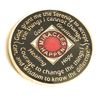 20 Year NA Black & Red Medallion -Chip, Coin, Token