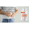 DSO Vitamins Premium Digestive Enzymes 60 capsules NEW
