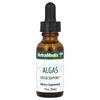Algas, Detox Support, 1 fl oz (30 ml)