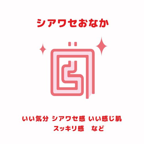 公式：スムースベンデール：10パック×２箱