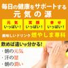 エナジークエスト 燃やしま専科 500g