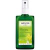 Citrus Deodorant - 100ml
