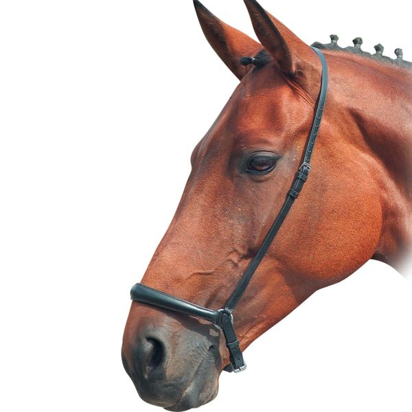 Shires Blenheim Drop Noseband-Black Full