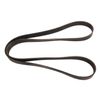 Continental OE Technology Series 4080797 8-Rib, 79.7" Multi-V Belt