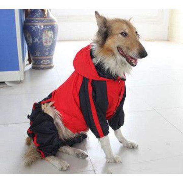 Ultimate Waterproof Dog Raincoat: Keep Your Pooch Dry In Style! - Red / Xs