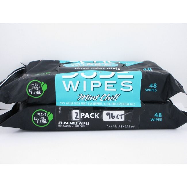 DUDE Extra Large Wipes, Mint Chill, 48 ct each, 2 pk - FREE SHIPPING