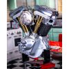 Sexy Hot Aluminum Skull Evo Evolution Points Timing Cover for Harley Davidson