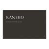 Kanebo Mood Boosting Blush 01 [Cheek]