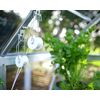 Palram - Canopia Trellising Kit Pro for Canopia Greenhouses