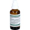 DHU Cyclamen Pentarkan N Headache Blend 50ml Solution