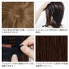 Montblanc Short Wig, Partially Hand Planted, Made in Japan, Feminine Short, Curly Style, Random Curl, Short Perm, 5 Colors Available, lemon tea