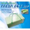 Foam Cooler huressyubokkusuneo FB – 6 Cooler Box
