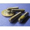Stainless Steel Self Lock Set Screw, Nylon Patch, Cup, 1/4"-20 x 1.0" Long 20 pc