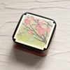 Hanaeimi Hand Cream February Plum