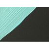 Liquitex Professional Gesso Surface Prep Medium, 237ml (8-oz), Black