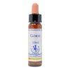 Healing Herbs/Flower Essence [Goth]