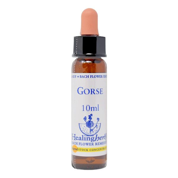 Healing Herbs/Flower Essence [Goth]