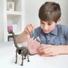 4M Kidz Labs Dig a Brachiosaurus Skeleton