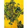 Postcard Book Vincent Van Gogh with 18 High-Quality Designs
