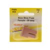 Pearl PWN653 30A Type J Slow Blow Fuse