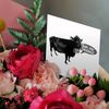 3dRose Greeting Cards - Sup My Vegans - 6 Pack - Graphics Funny