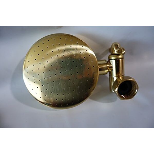 Aussie Rain Shower Head Only (No arm) - Polished Brass