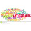 Olive Leaf 500 - OLIVE LEAF EXTRACT - Lose Weight Fast! - Full Body Cleanse - 1B