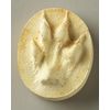 Nature-Watch Fox Track Replica