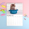 Personalised Cats and Kittens Calendar. Personalised Wall Calendar