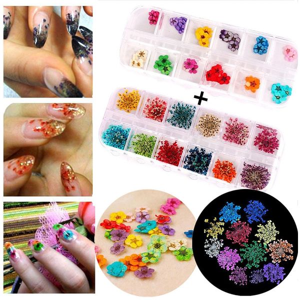 Nail Art Accessories 12-color three-dimensional nail dry flowers 60 Starry plus 60 five flower