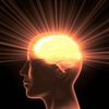 antioxidant nutritional supplements - ST. JOHN'S WORT EXTRACT - gingko leaf 2B