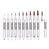 KOLINSKY ELITE DENTAL BRUSHES 10pkg -  ALUMINA HANDLE TYPE C - CHANGEABLE TIPS