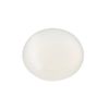 Bb Laboratories PH Moist Charge Essence, White, Indicated on the Side of the Body