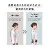 Style BX Lumbar MTG [Manufacturer Genuine Product] Belt