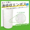 Napier Super Absorbent Kitchen Towel, 100 Cut (2 Layer), 2 Rolls