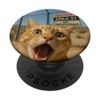 Cat Selfie Funny Area 51 PopSockets Adhesive PopGrip