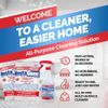 Instagone Stain Remover Multi-purpose Stain Remover, 0.8 OZ (23 grams)