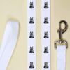 'Selkirk Rex Cat Sitting' Dog Lead/Leash (DL00018052)