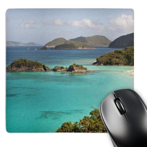 3D Rose "USVI St John Popular Trunk BayCa37 Tdr0020Trish Drury" Matte Finish Mouse Pad - 8 x 8" - mp_134960_1