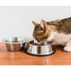 Anderson's Freeze-Dried Pet Treats (1oz)