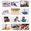 Personalised Cats and Kittens Calendar. Personalised Wall Calendar