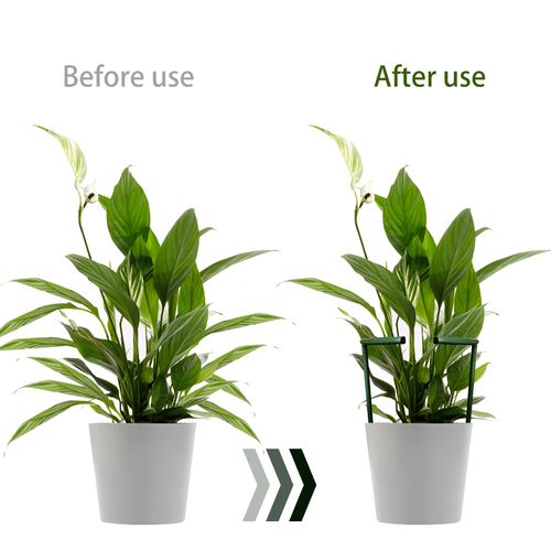 12 Pack Plant Support Stakes with 24 Pcs Clips, Half Round Ring Plastic Cage Holder Flower Pot Climbing Trellis for Small Vegetable,Indoor Plants