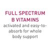 Natural Factors BioCoenzymated Active B Complex, 60 Capsules